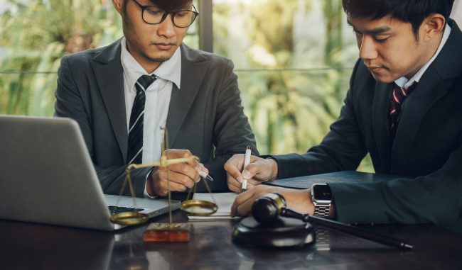 what does employment lawyer do