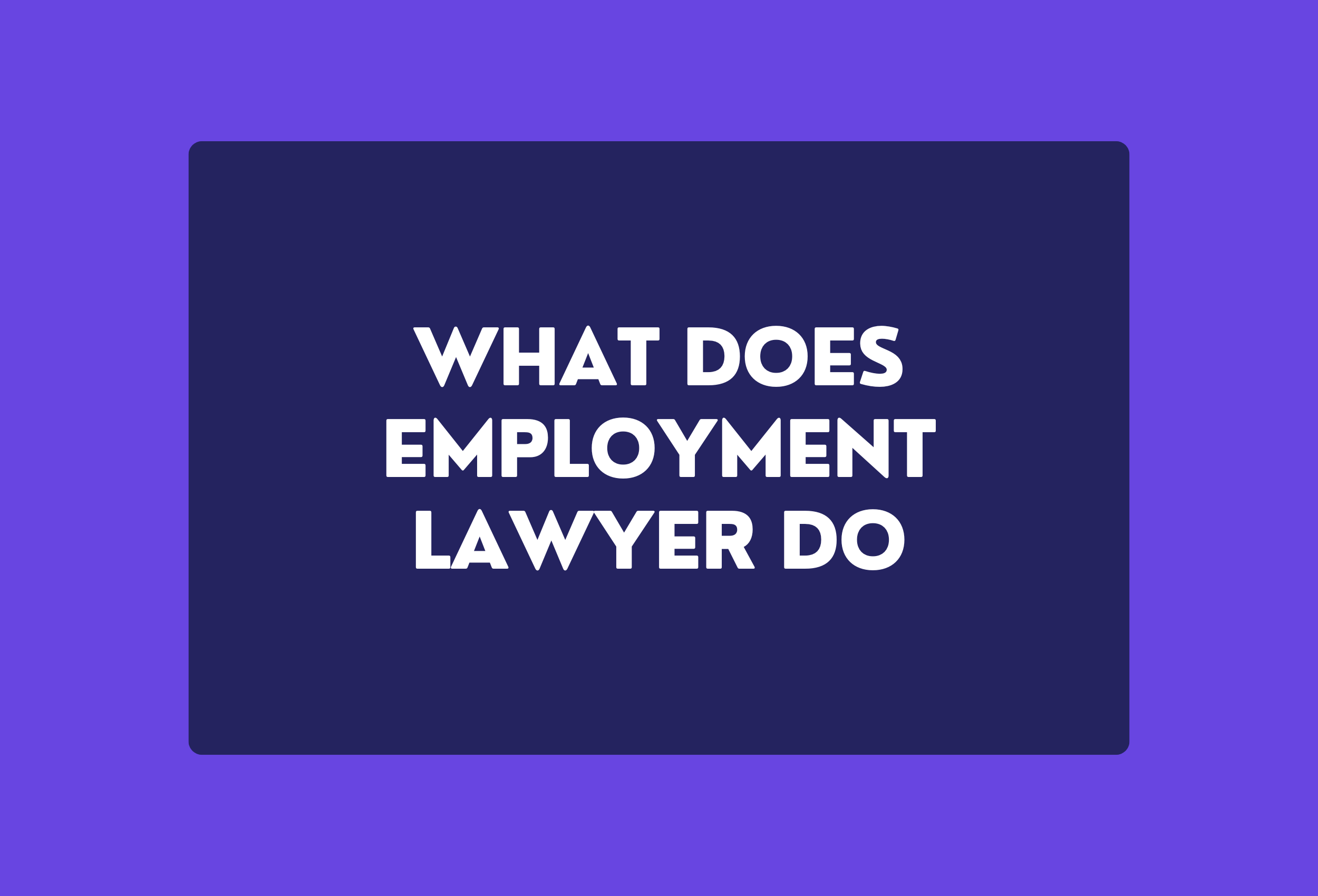 what does employment lawyer do