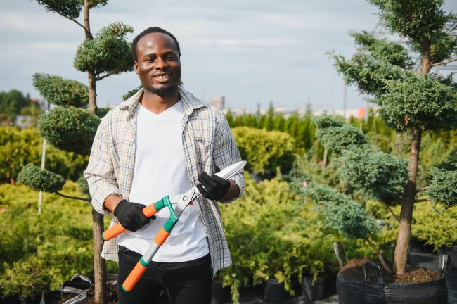 Landscaper Job Description Template