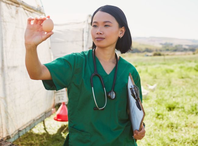 Community Health Worker Job Description Template