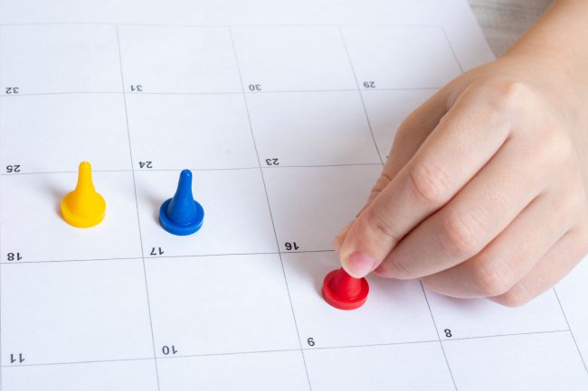 scheduler job description template