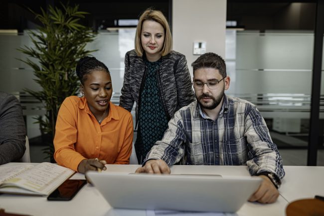 it project manager job description template