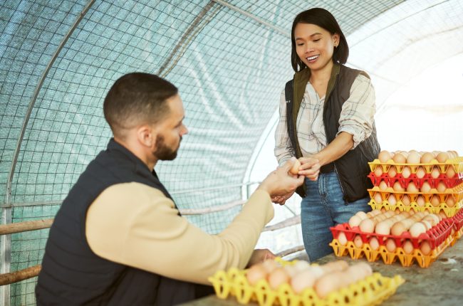 Vendor Management Job Description Template