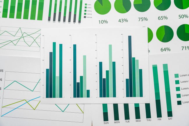 Minimum Data Set coordinator job description