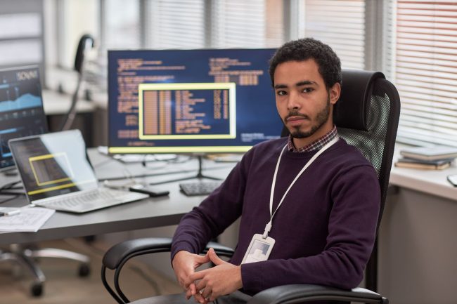 BI Developer Job Description Template