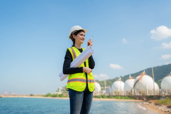 Environmental Health and Safety Manager Job Description Template