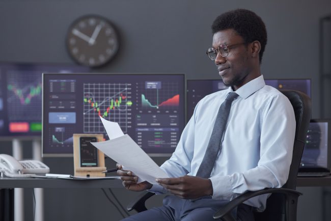 Portfolio Manager Job Description Template